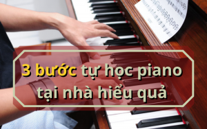 tư học piano tại nhà cho người mới