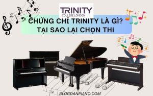 Chứng chỉ Trinity là gì Quy trình thi chứng chỉ Trinity