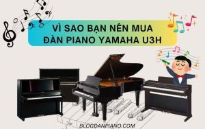 VÌ SAO BẠN NÊN MUA ĐÀN PIANO YAMAHA U3H