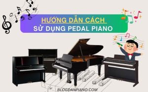 Cách Sử Dụng Pedal Piano